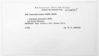 Image Associated With the Occurence